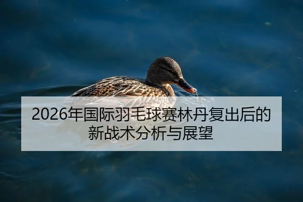 2026年国际羽毛球赛林丹复出后的新战术分析与展望
