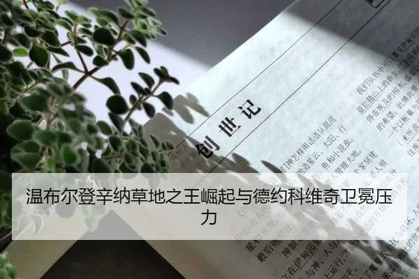 wen-bu-er-deng-xin-na-cao-di-zhi-wang-jue-qi-yu-de-yue-ke-wei-qi-wei-mian-ya-li-2-388.jpg
